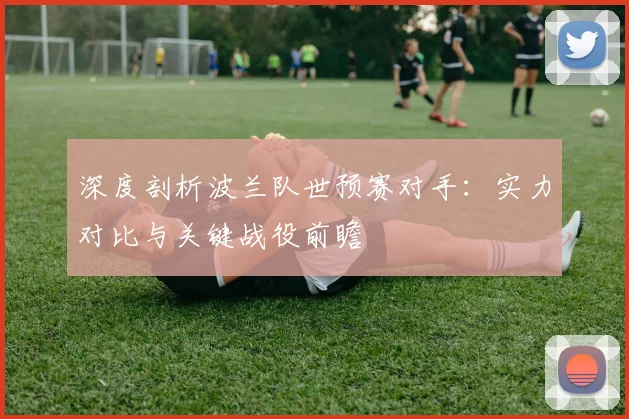 深度剖析波兰队世预赛对手：实力对比与关键战役前瞻
