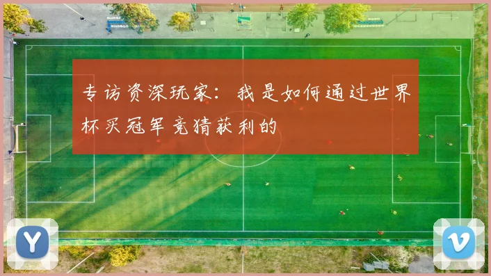 专访资深玩家：我是如何通过世界杯买冠军竞猜获利的